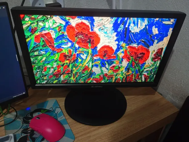 Monitor 75hz