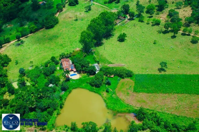 Fazenda à Venda em Uruaçu  31 Alqueires  Estruturada para Pecuária