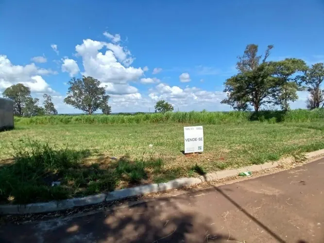 Terreno - Bosque das Araras - Três Lagoas / MS