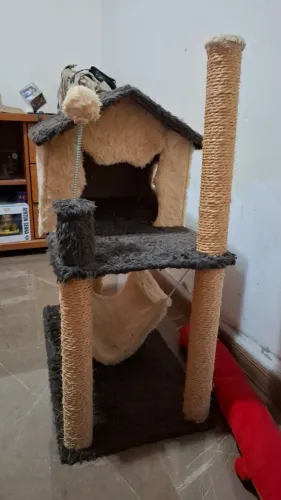 Casa de gato
