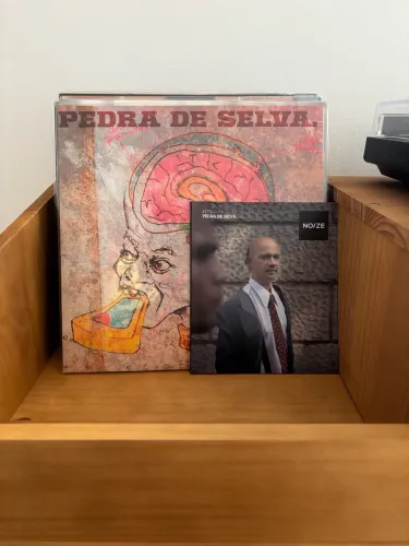 Vinil LP Curumin - Pedra de Selva | Revista Noize