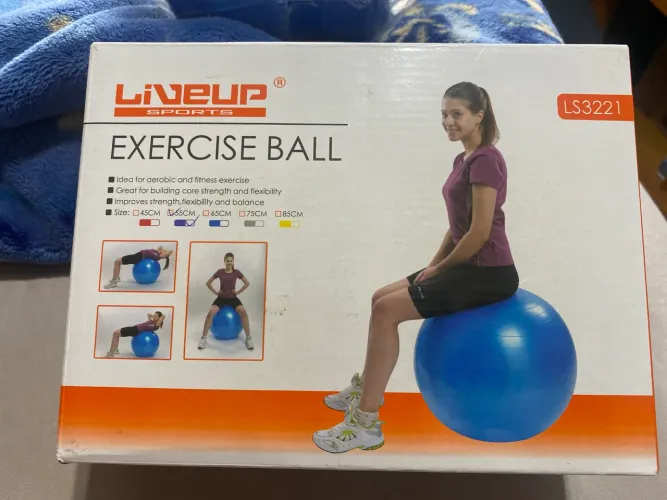 Bola de pilates e ginastica roxa 55cm