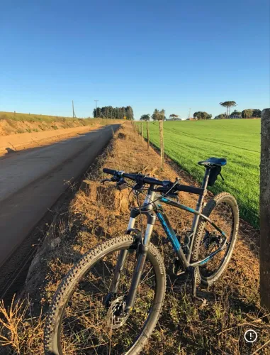 Bike Sense aro29 impact pro