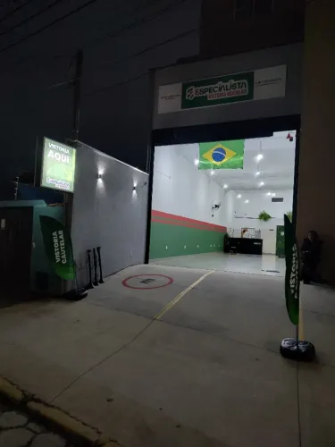 Vistoria Cautelar, Identificação Veicular, Avaliação veicular e Consultas (ECV).