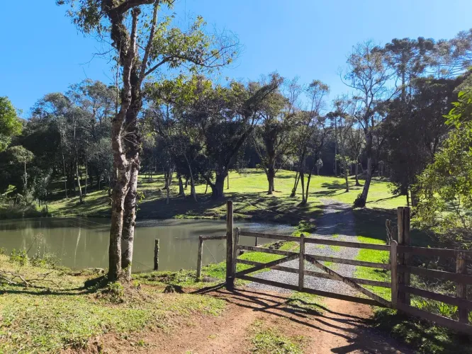 TERRENO RURAL em CAMPO ALEGRE - SC, Serrinha