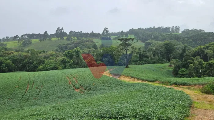 Área de 79.000 m com 41.000 m mecanizados perfeita para cultivo ou projetos sustentáveis