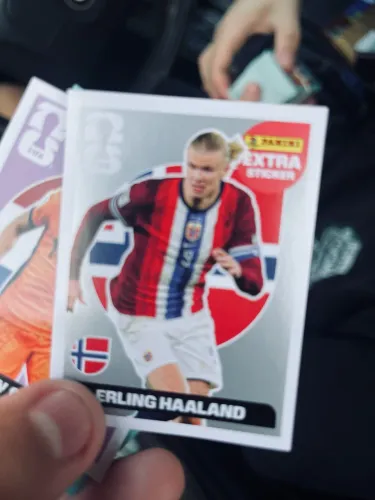 HAALAND PRATA