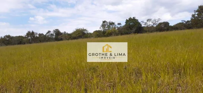Fazenda 110 Alqueires na Divisa SP/MG com 600m de Beira do Rio Canoas e Excelente Logístic