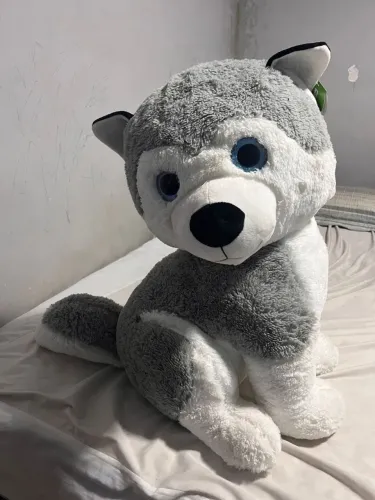 Urso de Pelucia