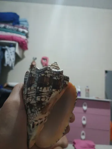 Bom para decoração