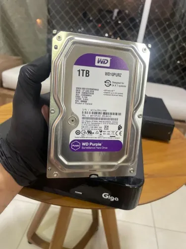 HD WD Purple 1TB + DVR Giga