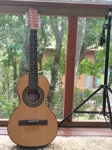 Vendo viola rozini semi nova