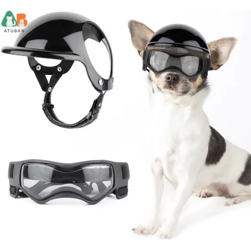 Capacete para cachorro