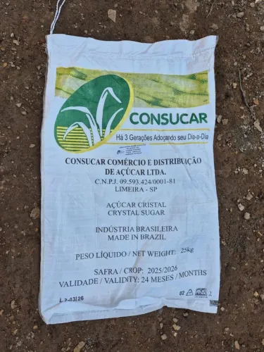 Saco de Ráfia 