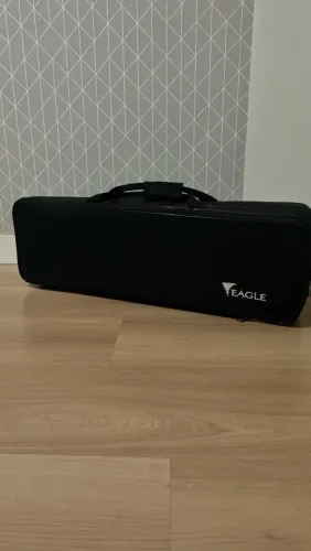 Violino eagle 