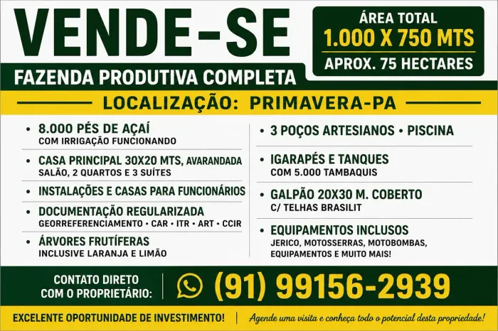 Fazenda produtiva de açaí à venda PRIMAVERA