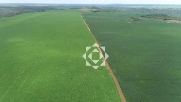 Fazenda de 254 alqueires com projeto para irrigação em Monte do Carmo