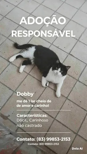 Adoação responsável