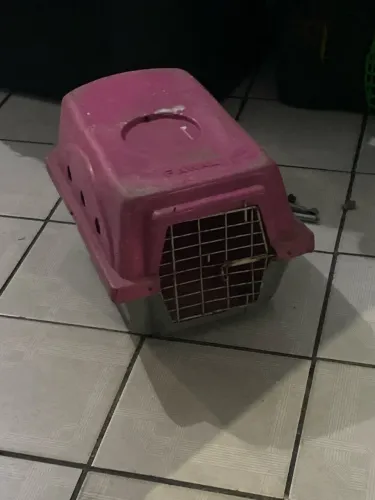 Casinha para transportar gato grande