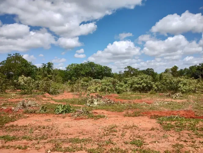 Fazendinhas 20.000m2 Planas com Terra Pura às Margens da Rodovia 040 em Paraopeba MG