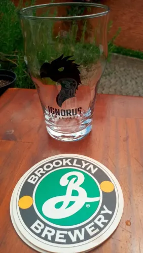 Copo Pint cerveja Ignorus Cervejaria <br>