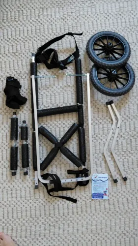 Cadeira de 2 rodas para cachorro Tam G - porte grande 25 a 50kg Pet best soluções