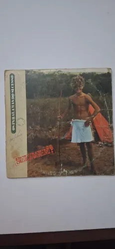 Lp os paralamas do sucesso "selvagem" usado