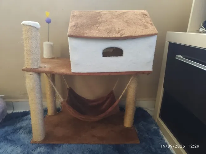 Casa de gato com arranhador - usado