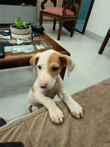 Doação princesa 2 meses