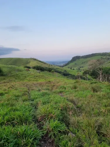 196 Hectares À Venda em Atalaia - 11Km do Asfalto - Alagoas