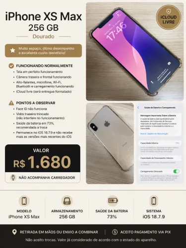 iPhone XS MAX 256GB