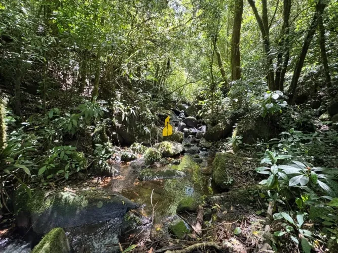 Terreno à venda no bairro Santa Maria - Benedito Novo/SC