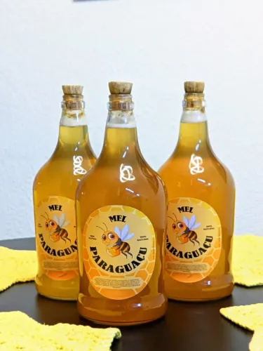 Mel Paraguaçu 100% Natural Puro Artesanal Tradicional