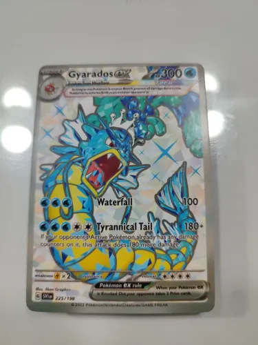 Guardados EX 300hp carta Pokémon