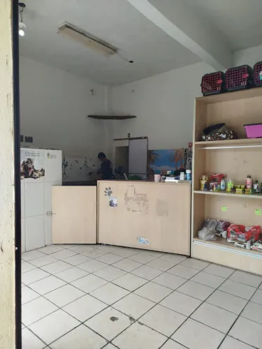 Vendo banho e tosa 15.000