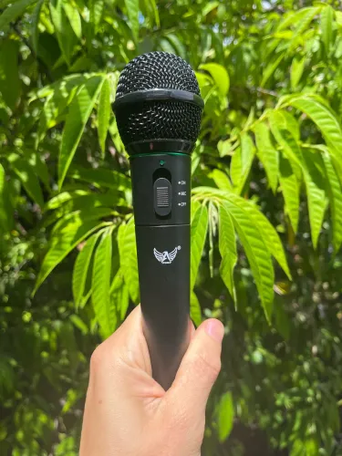 Microfone Dinâmico Sem Fio Altomex  Profissional Karaoke Igreja Palestras Eventos Show