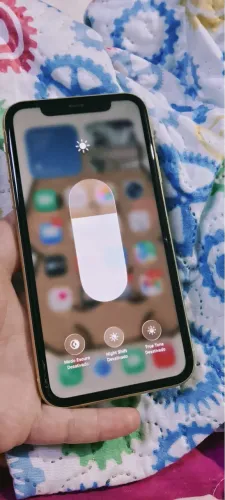 iPhone 11 256 gb bateria 100%