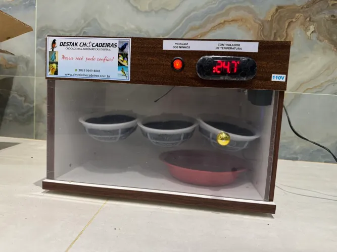 Chocadeira elétrica