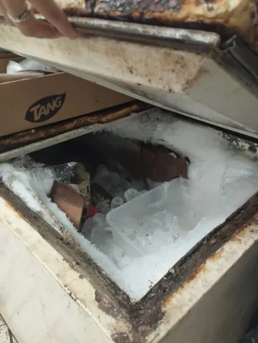 Freezer horizontal