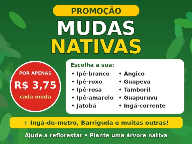 mudas nativas