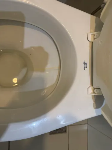 Vaso sanitário com caixa acoplada