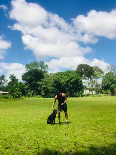 Adestrador de cães