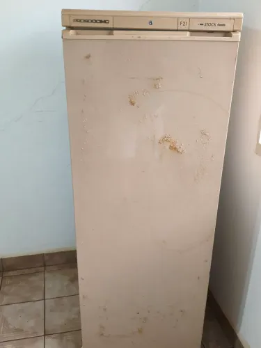 Freezer Prosdócimo f21 stock