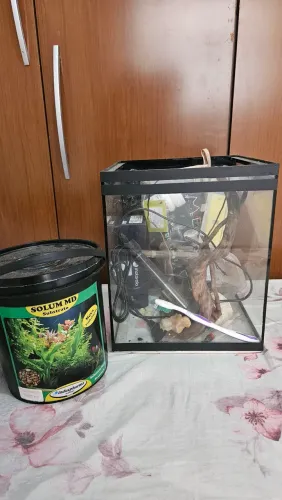 ?Kit Aquário Completo 19L para Betta / Nano Plantado - Tudo Incluso!