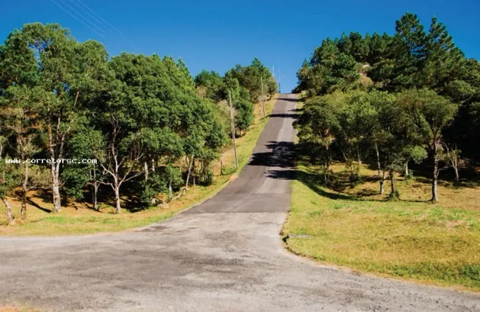 Terreno para Venda em Rancho Queimado, Centro