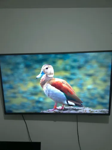 SmarTV Philips 50"
