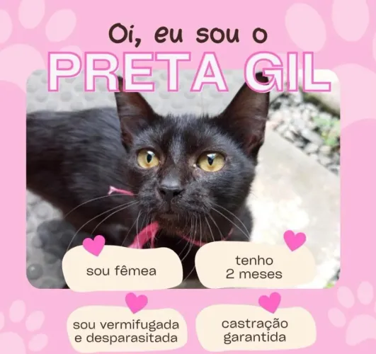 Gata