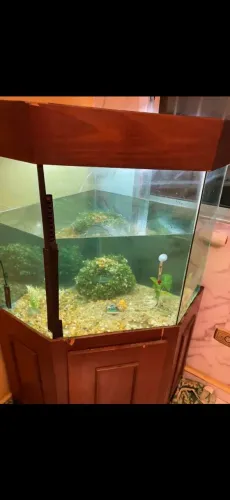 Aquario