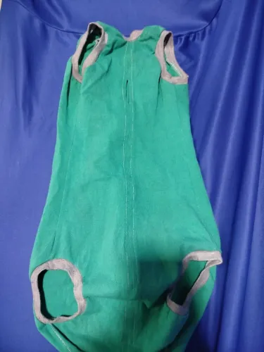 Roupa cirúrgica de cachorro