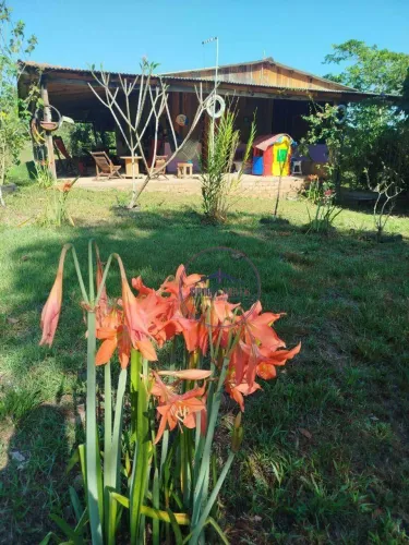 Chácara com 2 dormitórios à venda, 13500 m² por R$ 160.000 - KM 1 - Porto Velho/RO